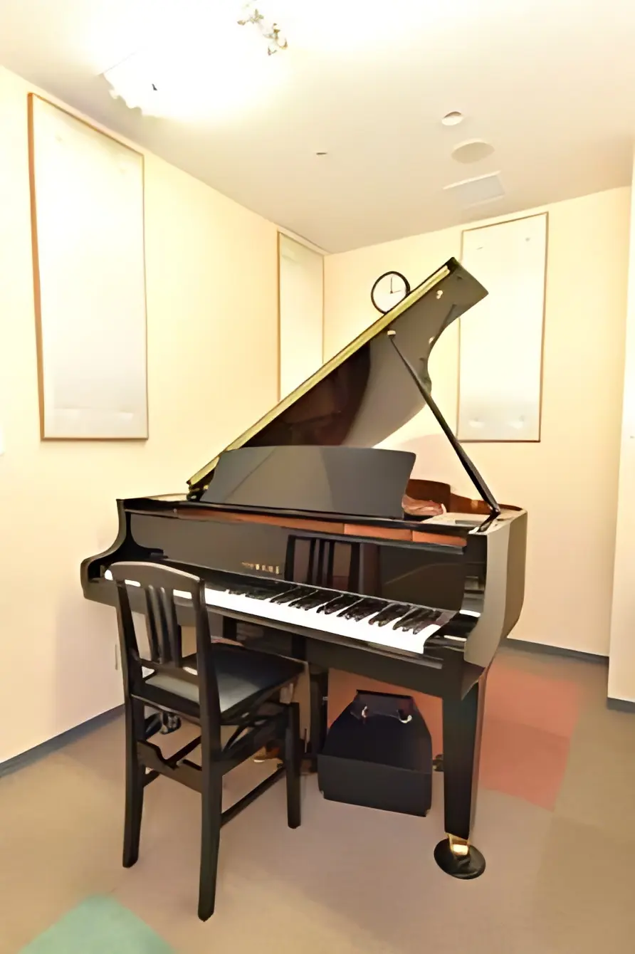 第一楽器 ヴァイオリン 日永カヨーセンターのサムネイル画像 3