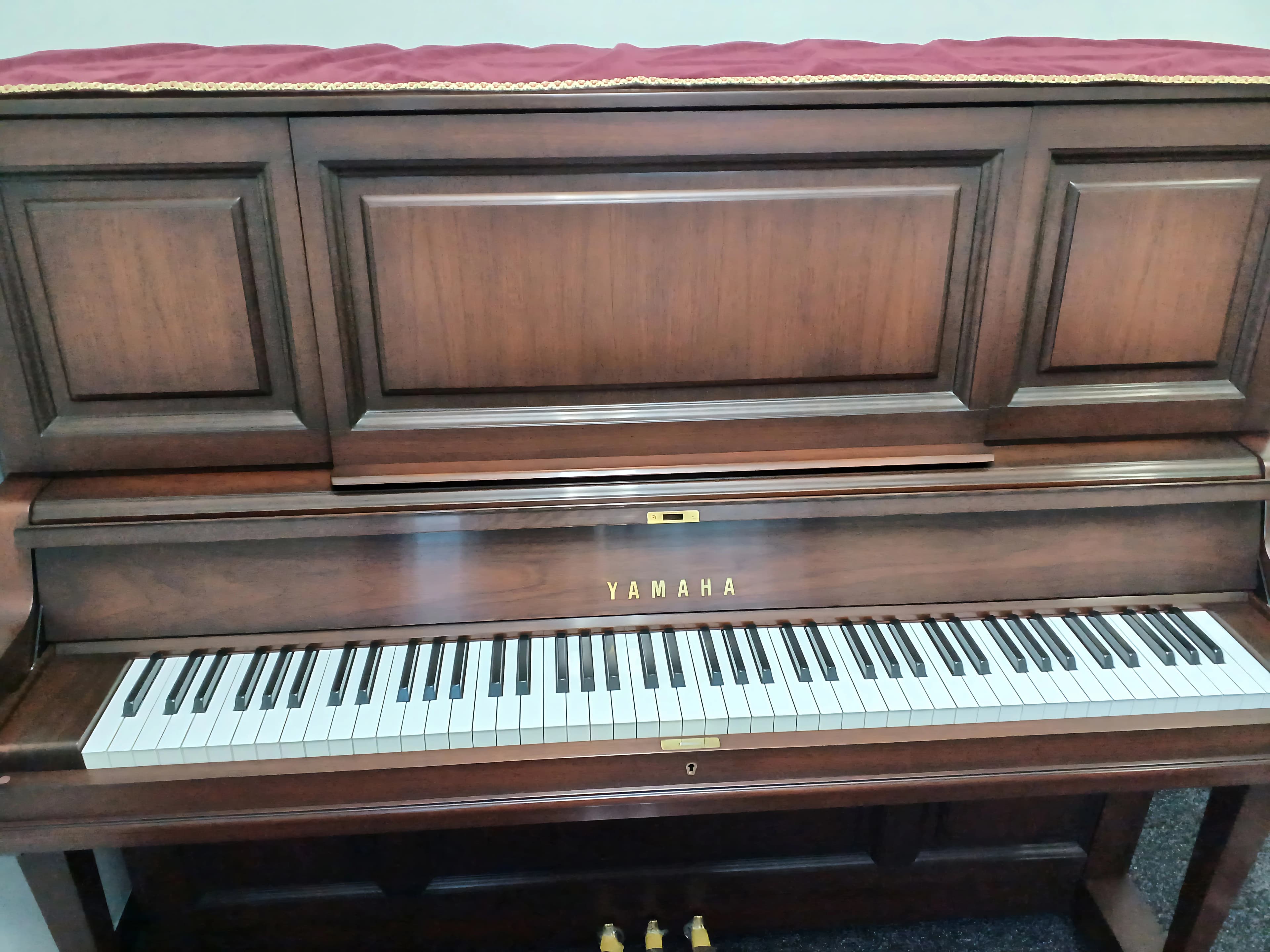 バルト音楽教室 ヴァイオリン 北浜教室 画像 3