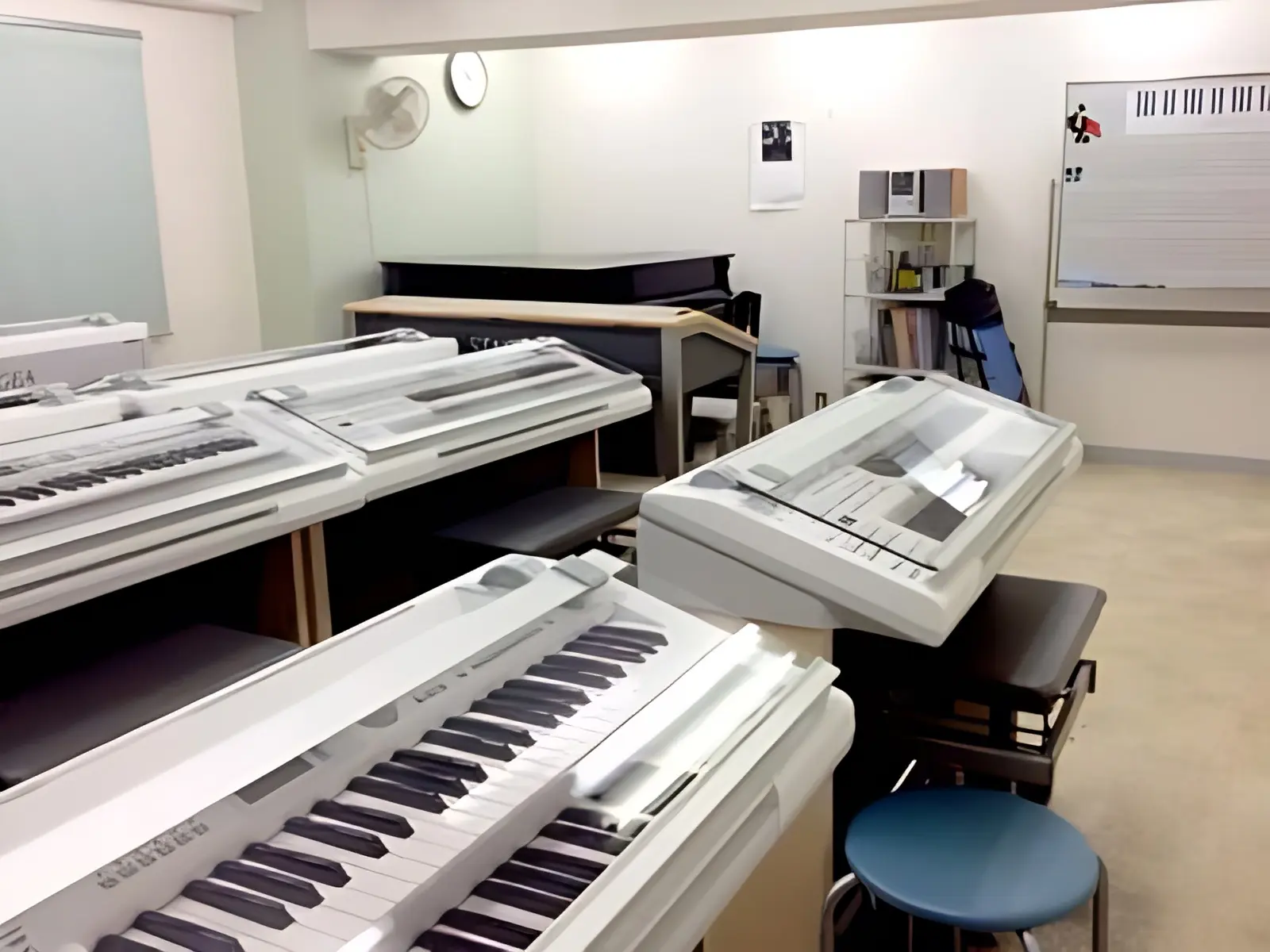 スガナミ楽器 マンドリン ミュージックサロン目黒 画像 18