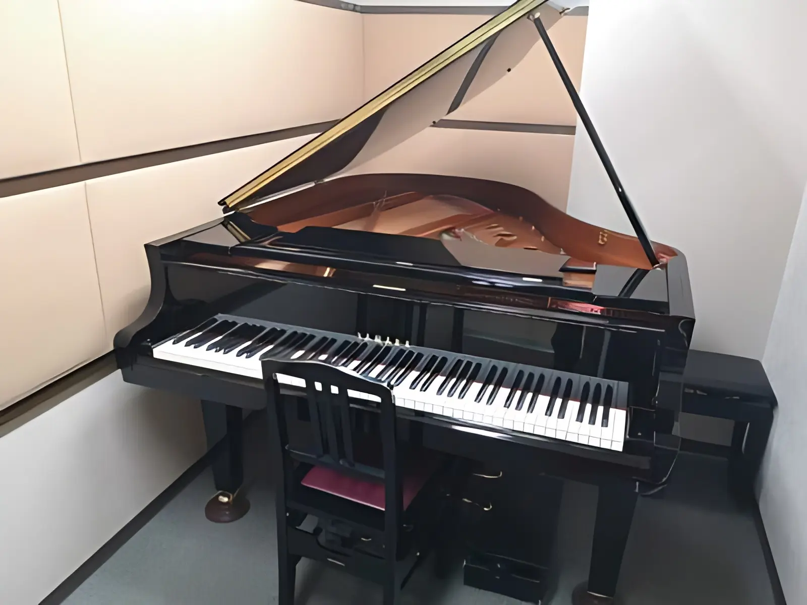 スガナミ楽器 マンドリン ミュージックサロン目黒 画像 22