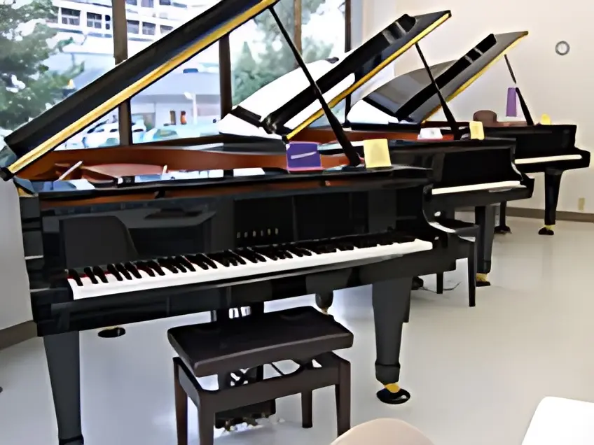 スガナミ楽器 和楽器 町田センターのサムネイル画像 5