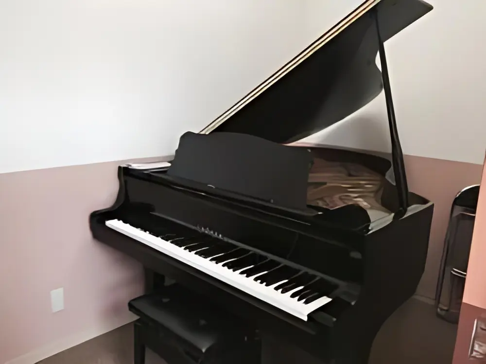 ヤマハ音楽教室 リトミック 田子西センターのサムネイル画像 2