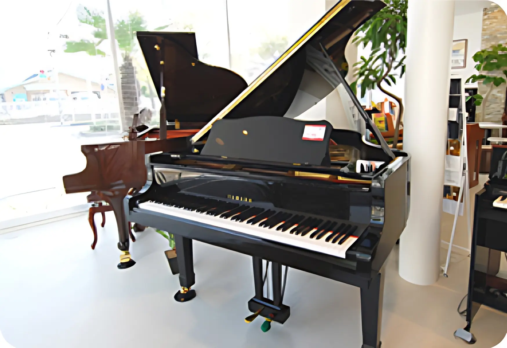 やぎ楽器 リトミック 広畑店のメイン画像