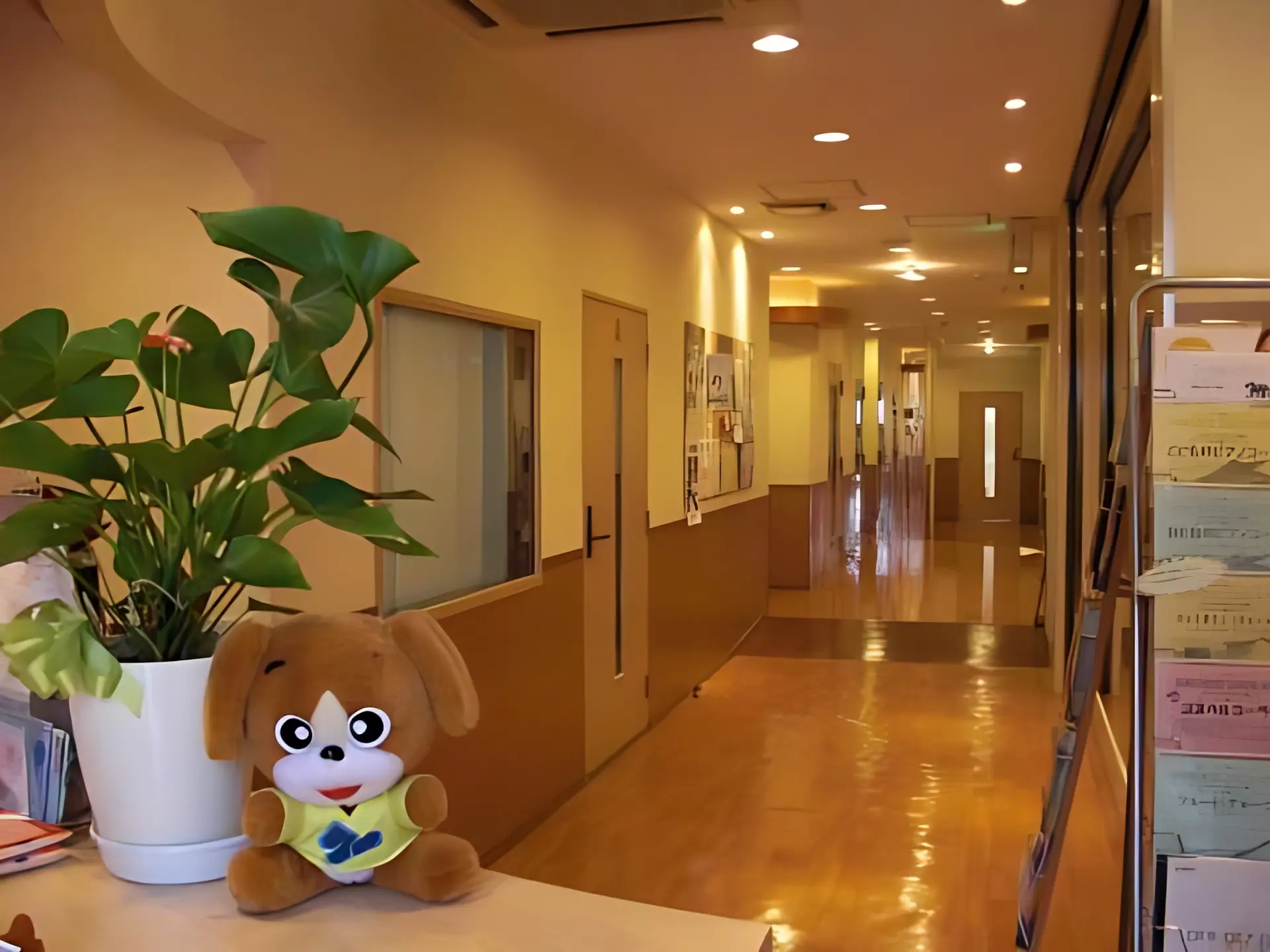 カワイ音楽教室 学研教室コース MS青山のサムネイル画像 3