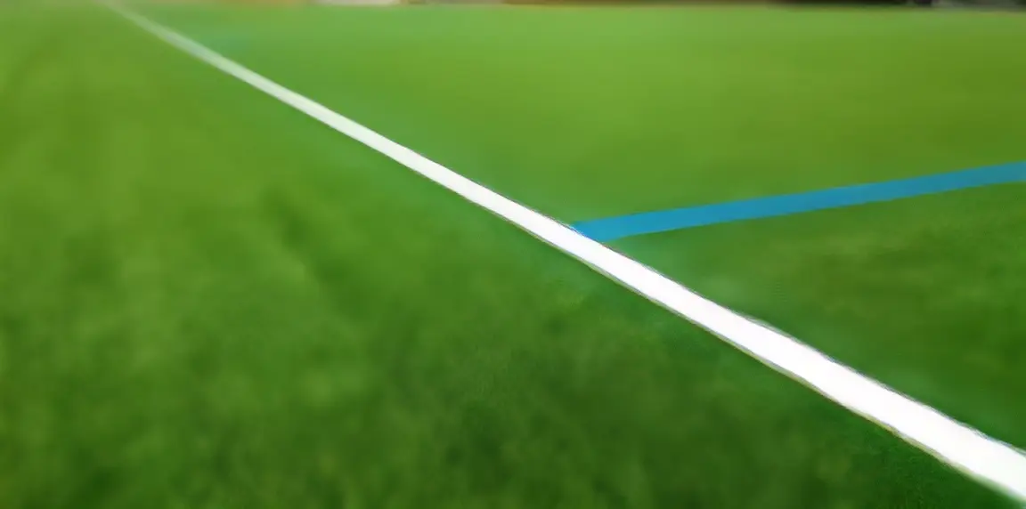 風の子サッカークラブ 芝浦南ふ頭グラウンドのメイン画像