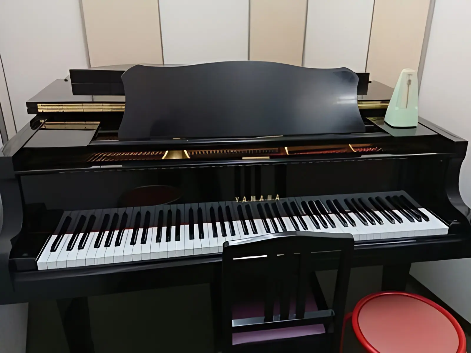 スガナミ楽器ピアノ教室 大久保ミュージックセンターのメイン画像