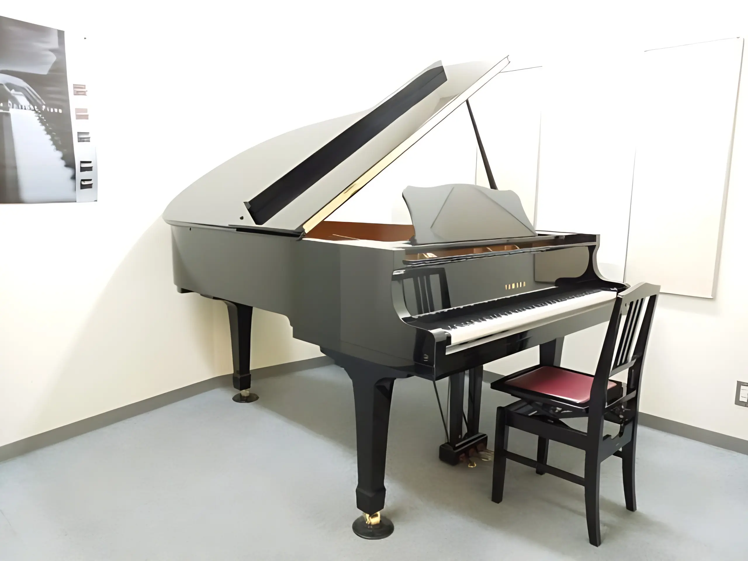 スガナミ楽器ピアノ教室 相模原センターのサムネイル画像 3