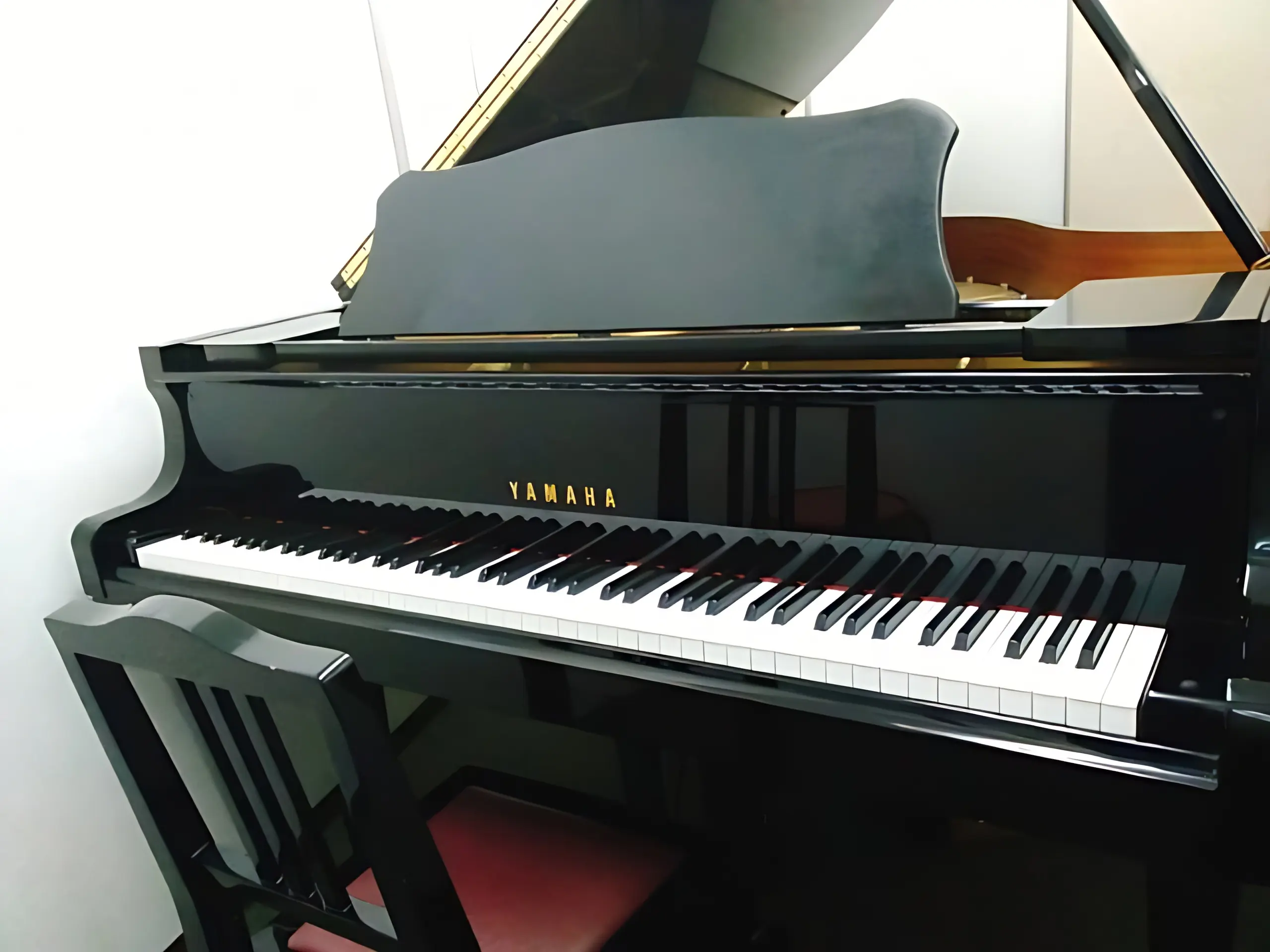 スガナミ楽器バイオリン教室 大久保ミュージックセンターのサムネイル画像 4