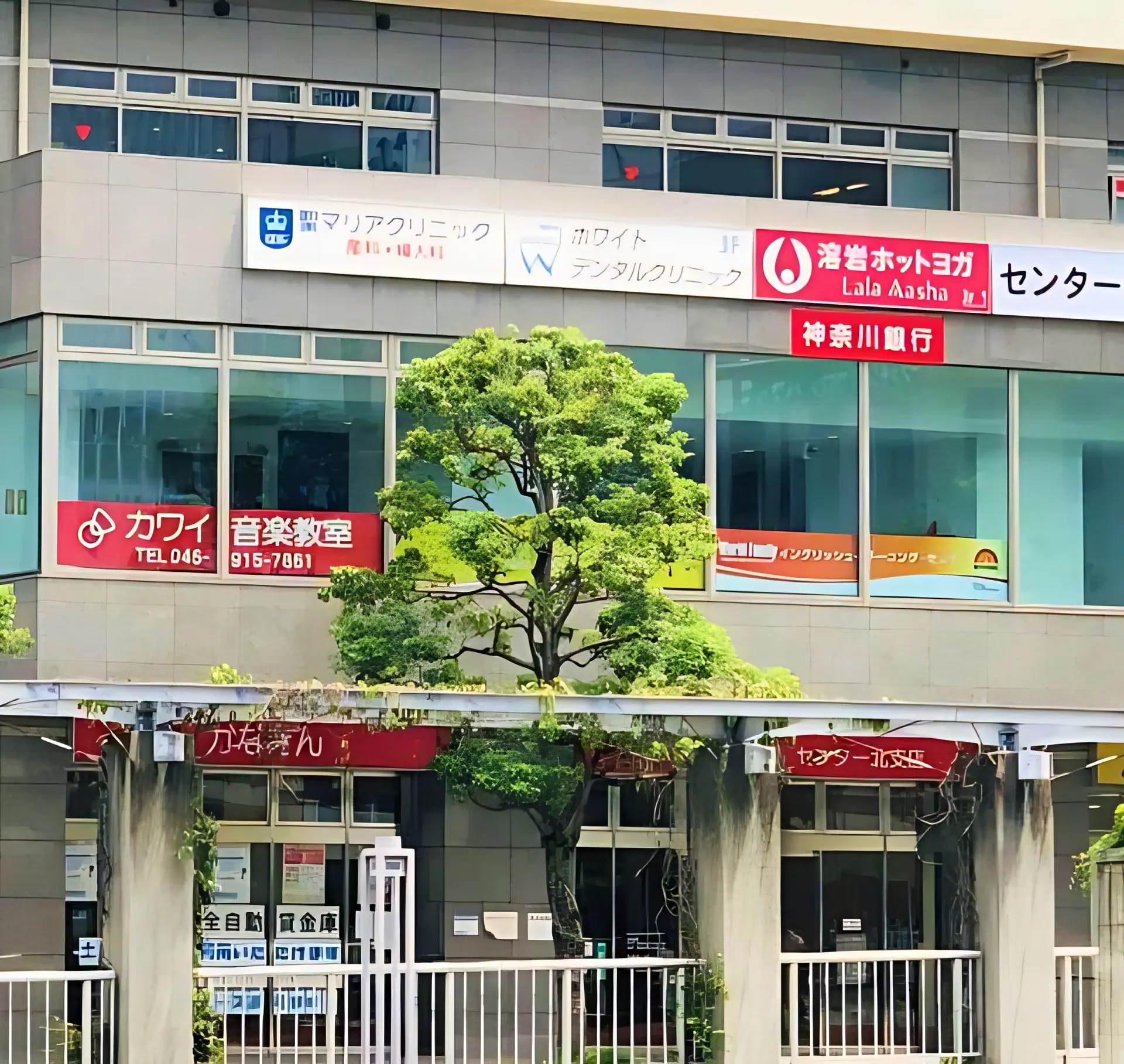 メイン画像