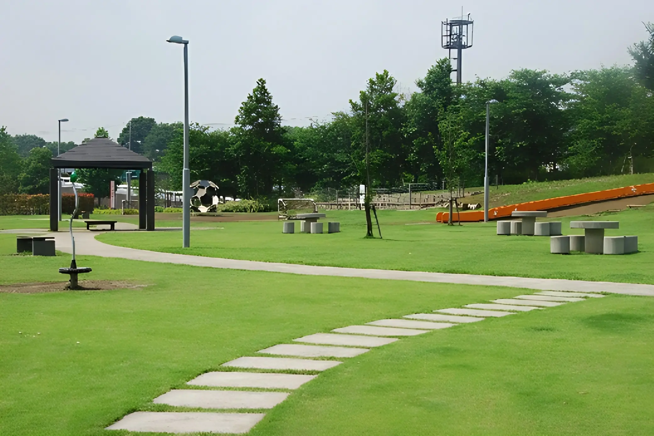 画像 10