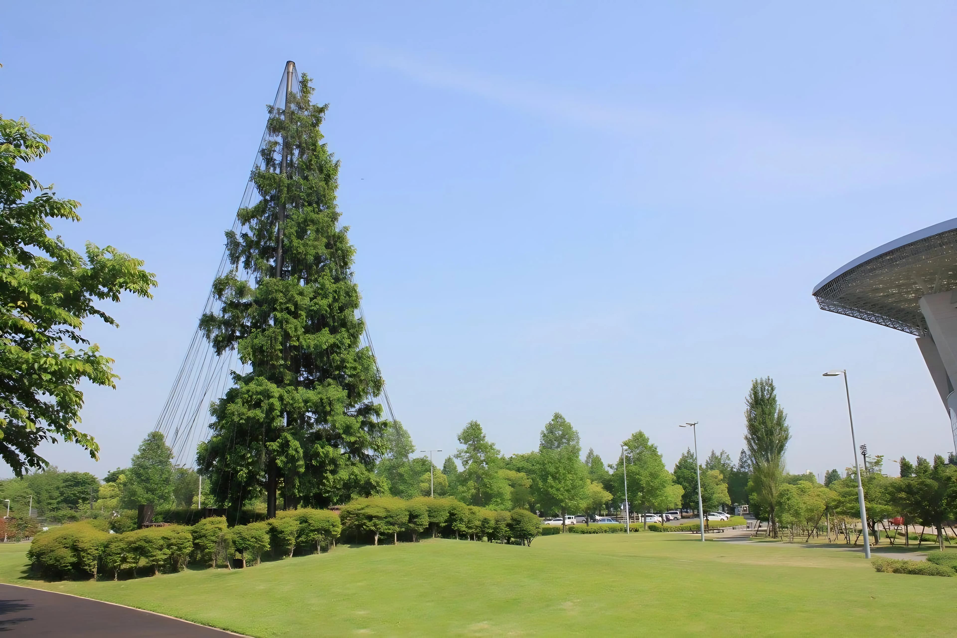 画像 11