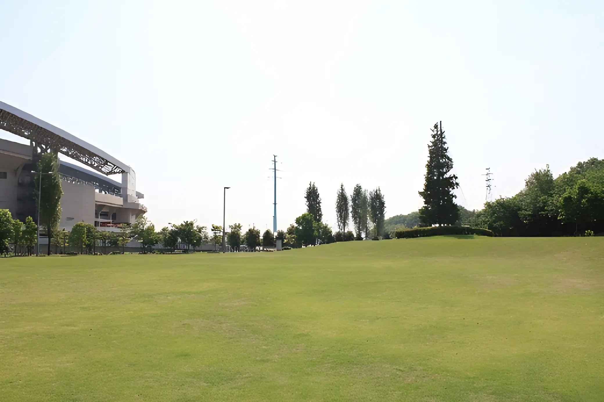 画像 12
