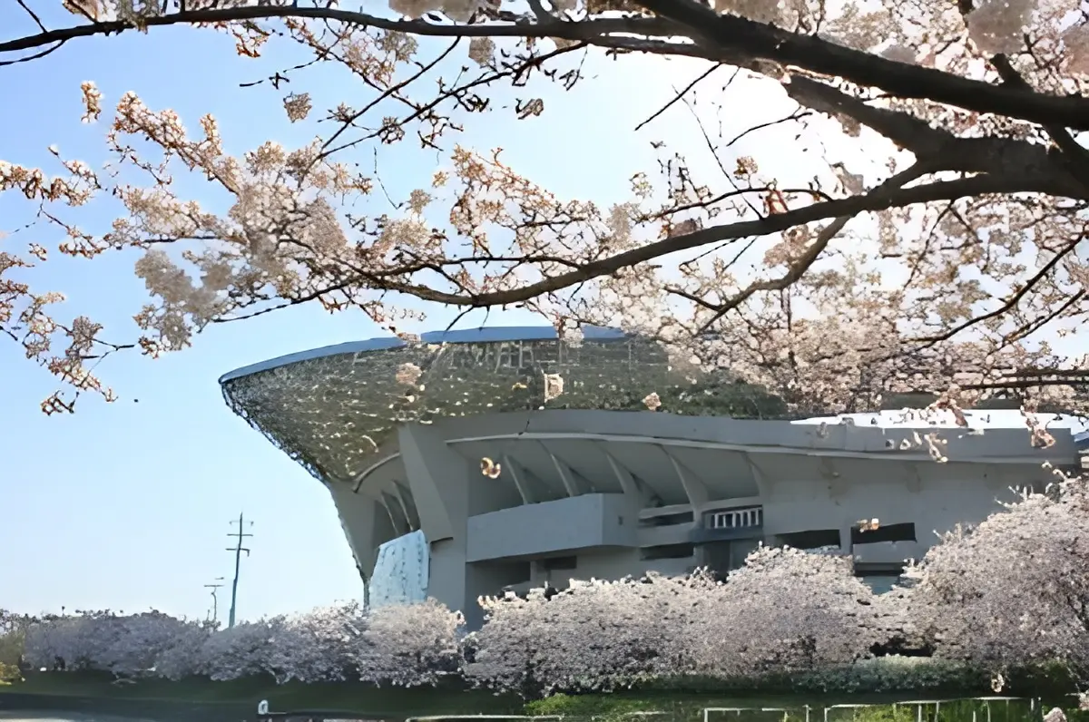 FC Himawari(ひまわり) 埼玉スタジアム2002 第4グランド 画像 19