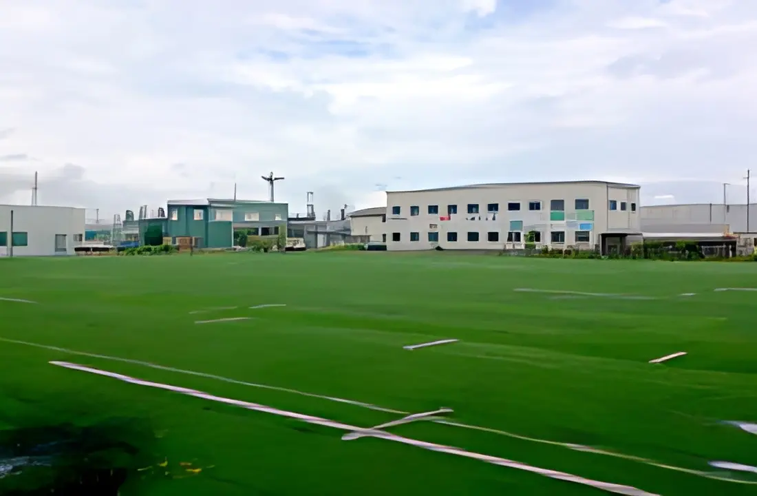 画像 13