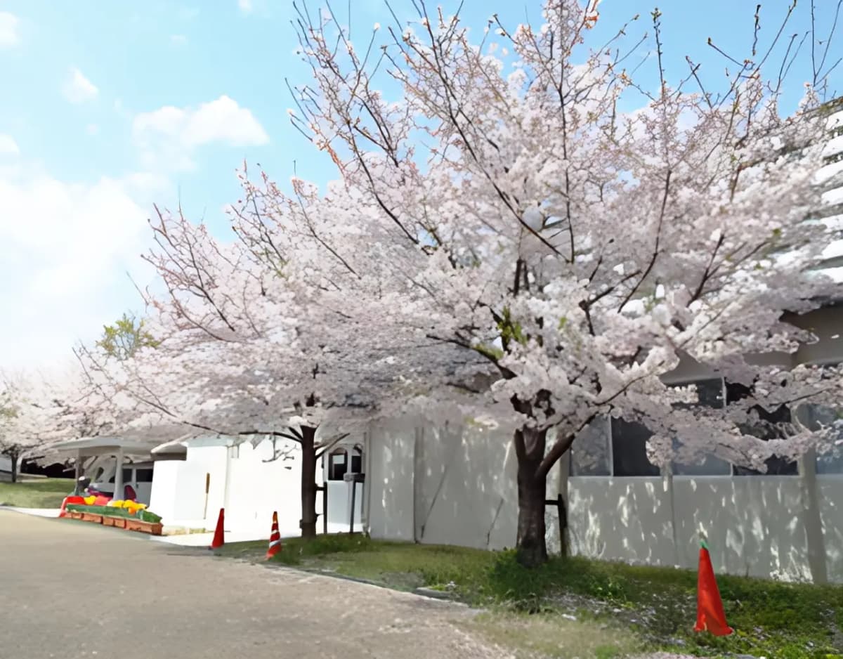 サムネイル画像 3