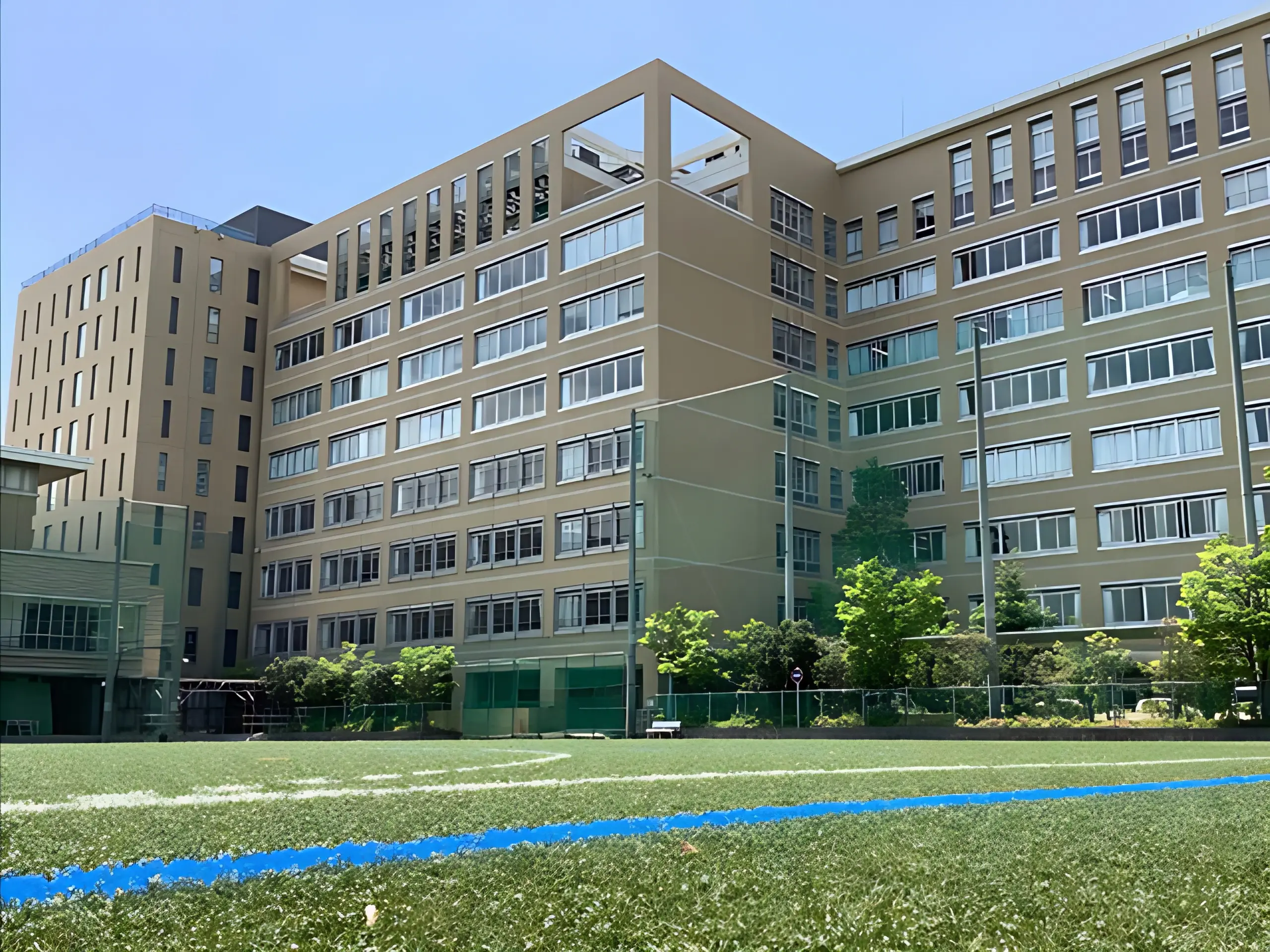 セレッソ大阪スポーツクラブ サッカー 桃山学院校のメイン画像