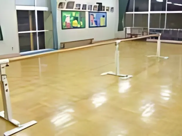 Aya (アヤ)Ballet Studio 手賀の丘スタジオのメイン画像