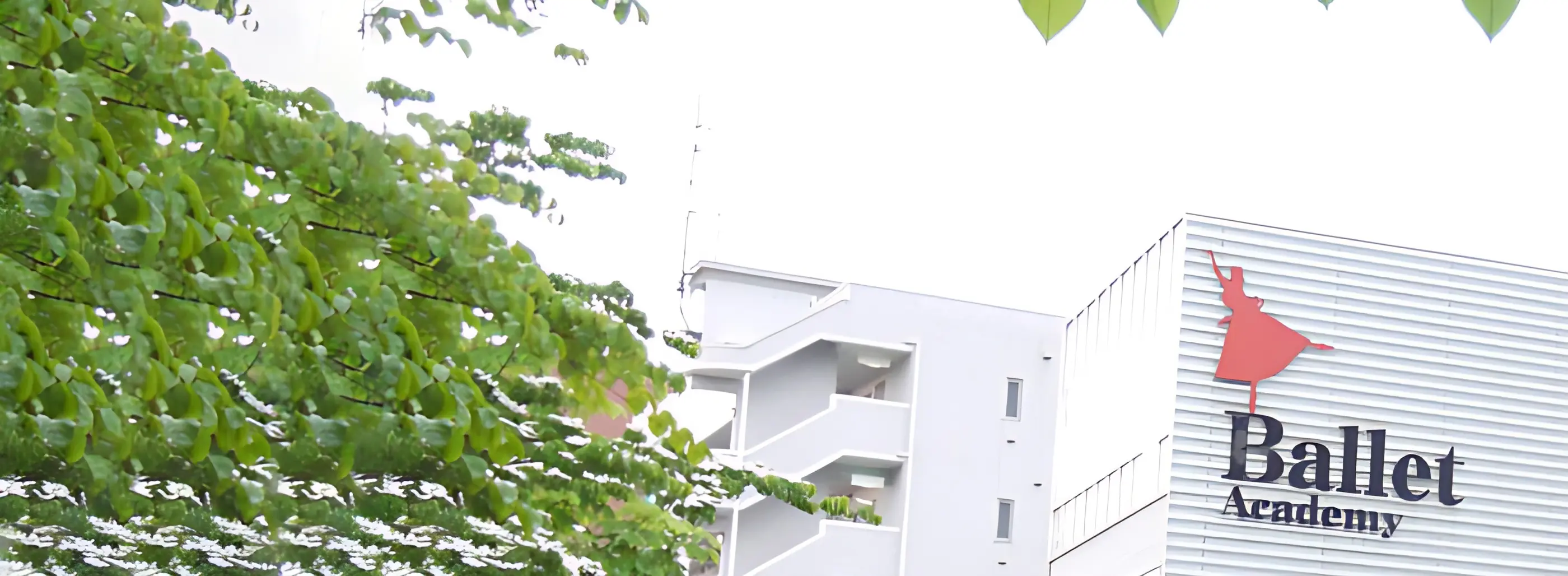 Morikawa Satomi(森川里美) Ballet Academy 竹原スタジオのメイン画像