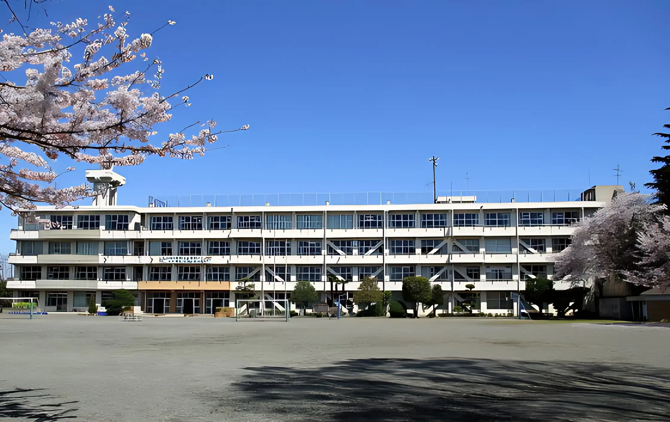 有馬レンジャーズ 野球 海老名市立有馬小学校グラウンドのメイン画像