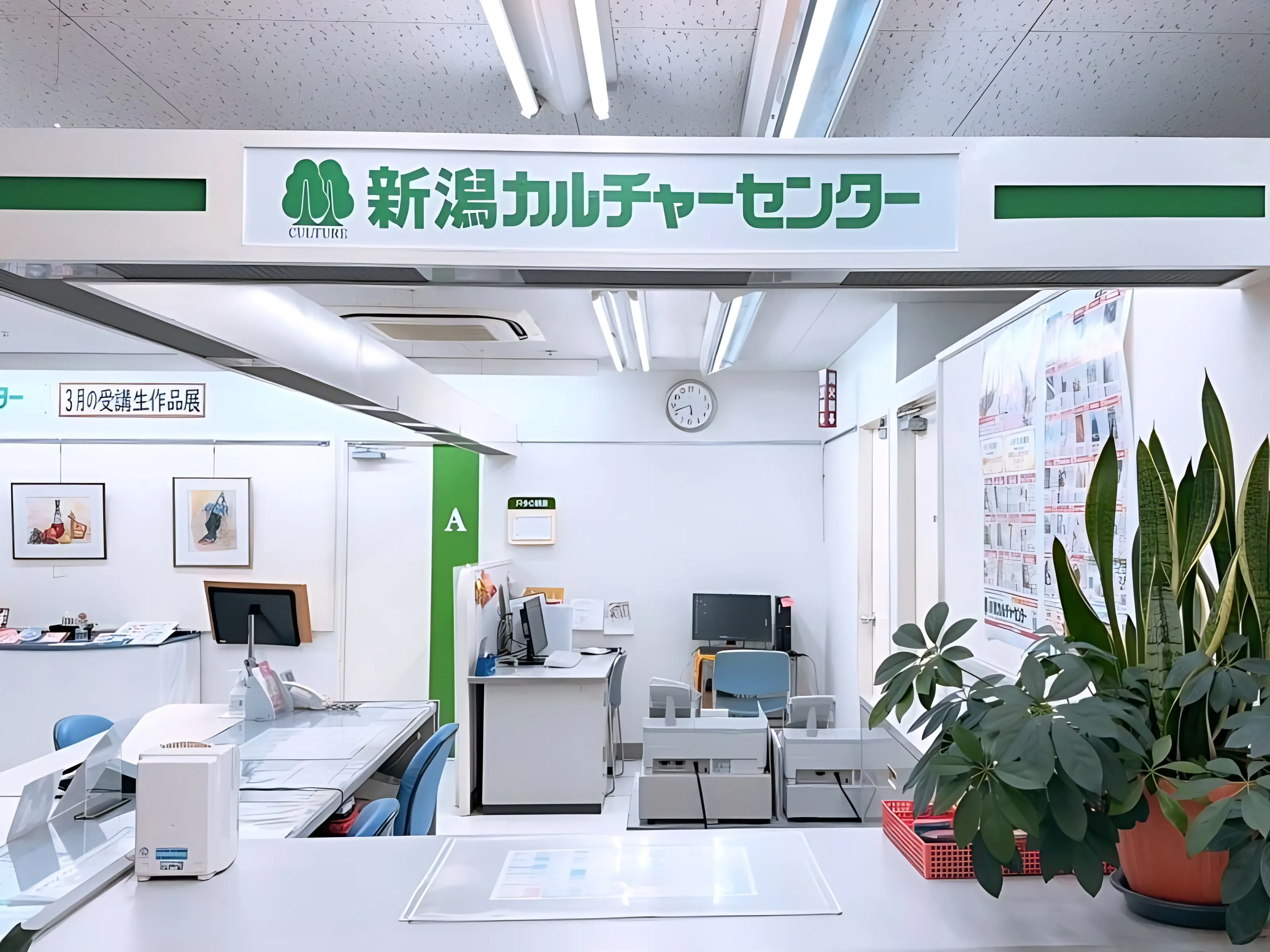 ヨークカルチャーセンター新潟空手道 本町通六番町教室のサムネイル画像 2