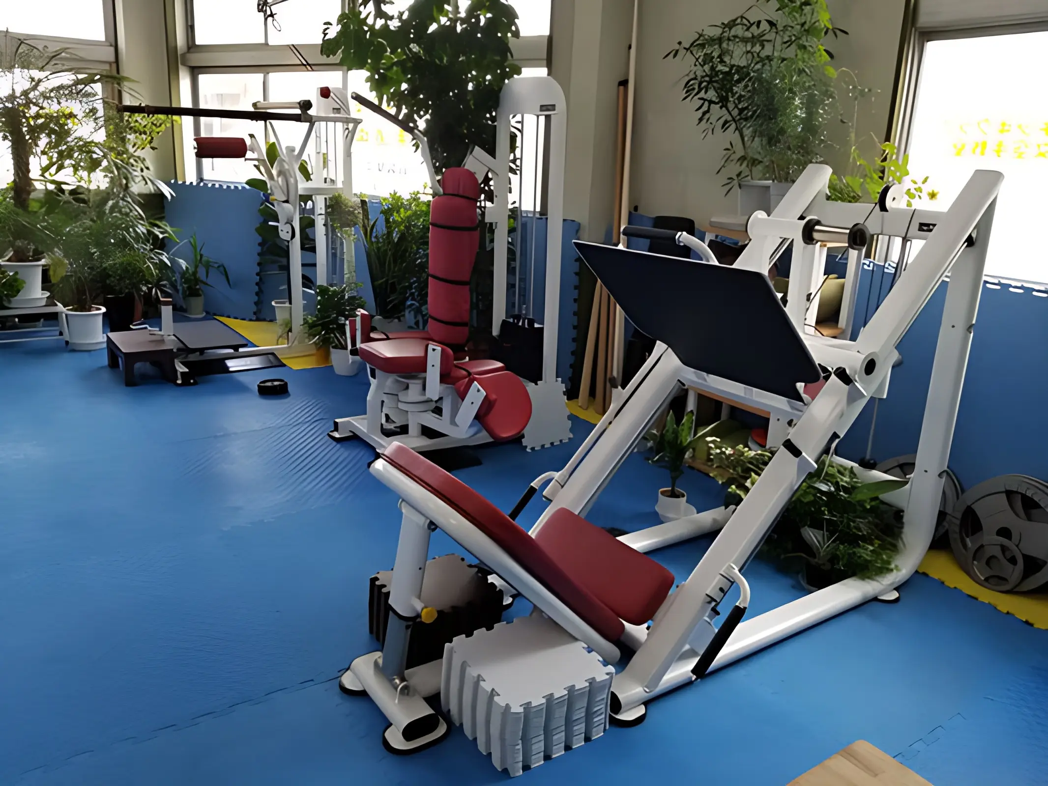 空手道禅道会 茅野道場のメイン画像