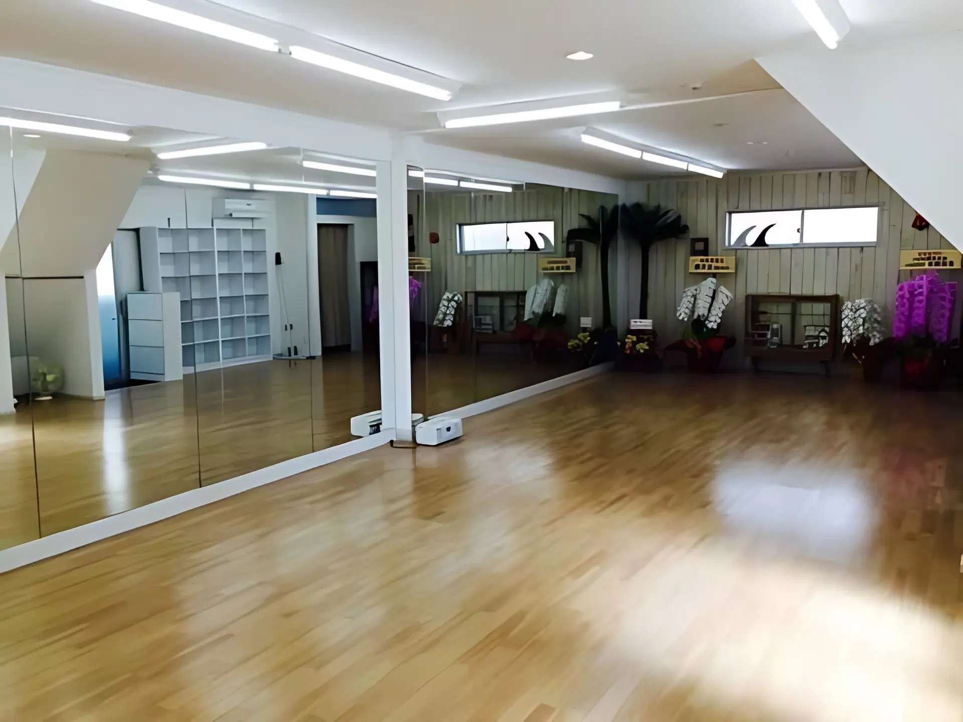 YELLOW SPARROW ダンス 武蔵新城校のメイン画像