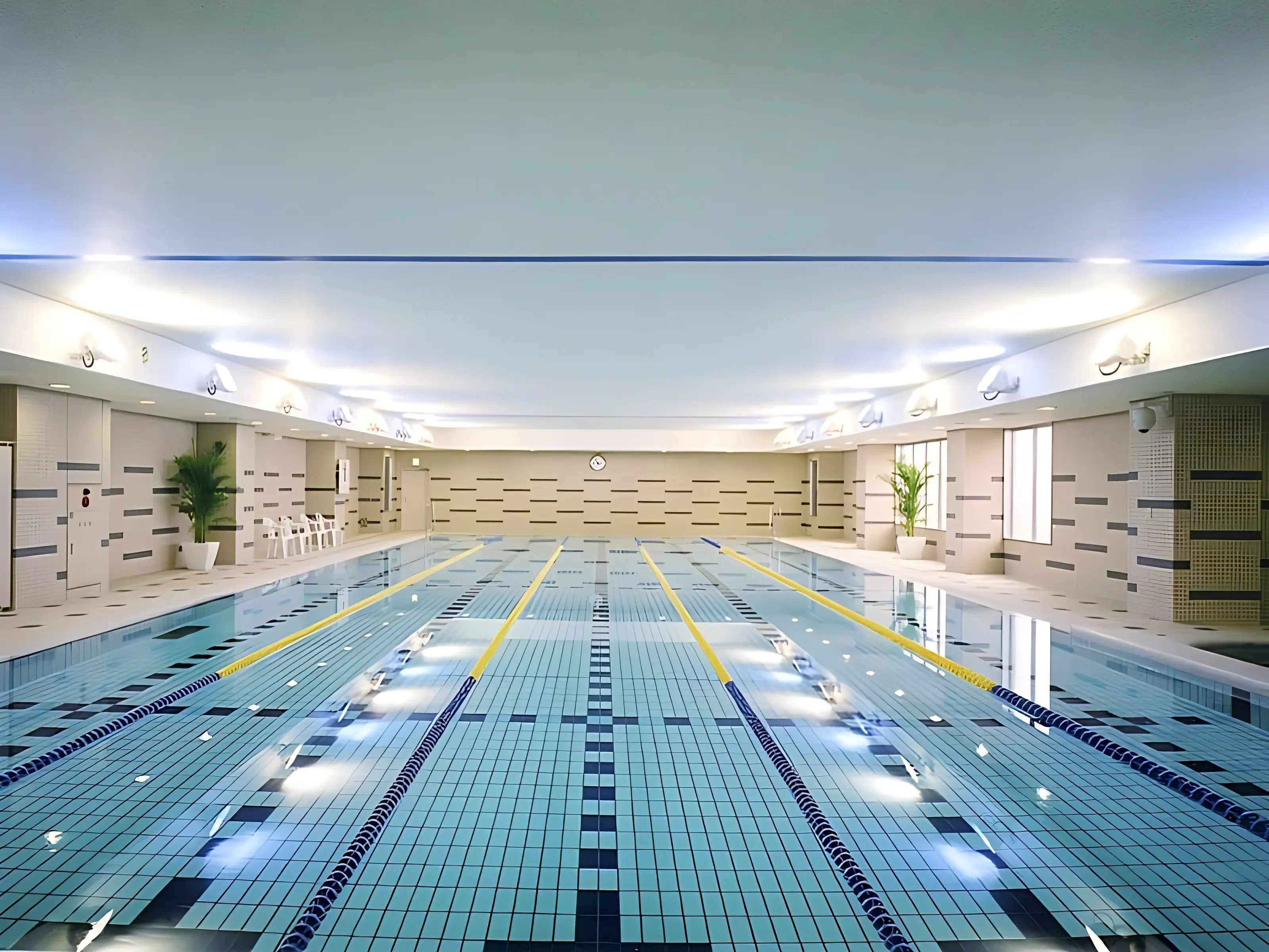 東急スポーツオアシス 運動・体操・陸上 赤塚24Plusのサムネイル画像 3