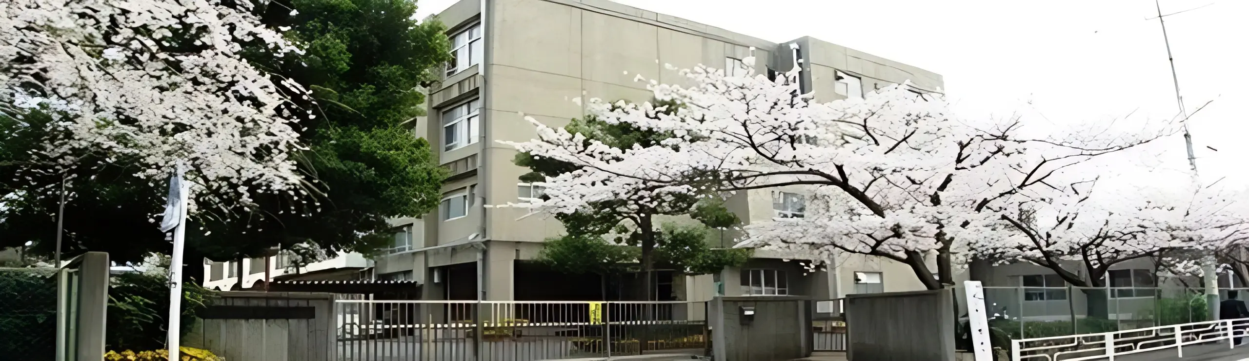 大豆戸ミニバスケットボールクラブ 横浜市立大豆戸小学校のメイン画像