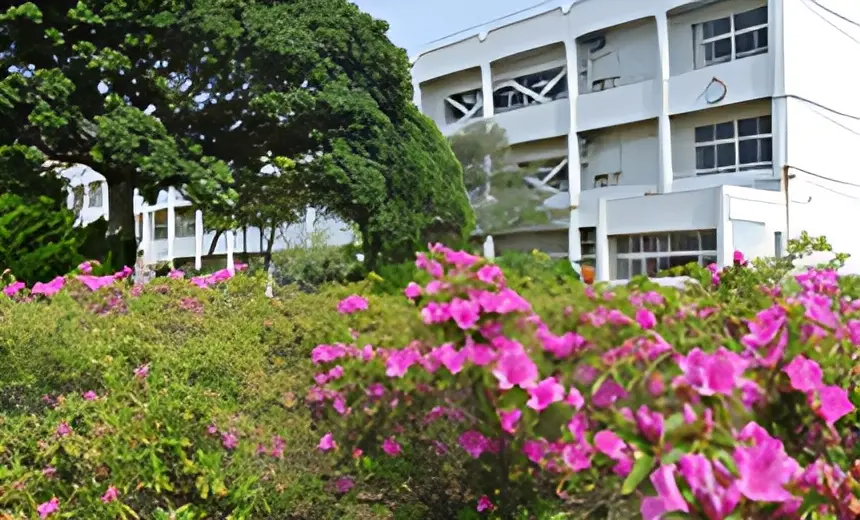 木古庭・上山口ミニバスケットボールクラブ 葉山町立一色小学校のメイン画像