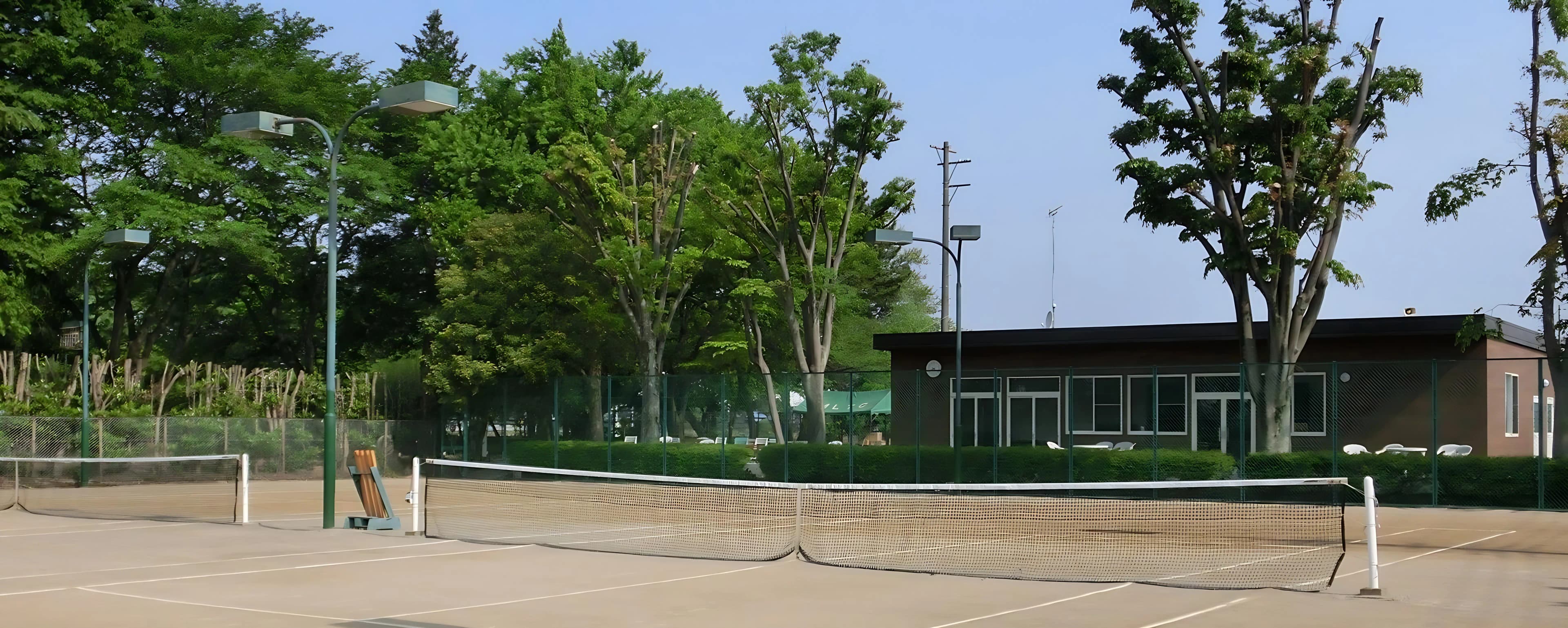 MLTC むさしの村ローンテニスクラブ 志多見教室 画像 2