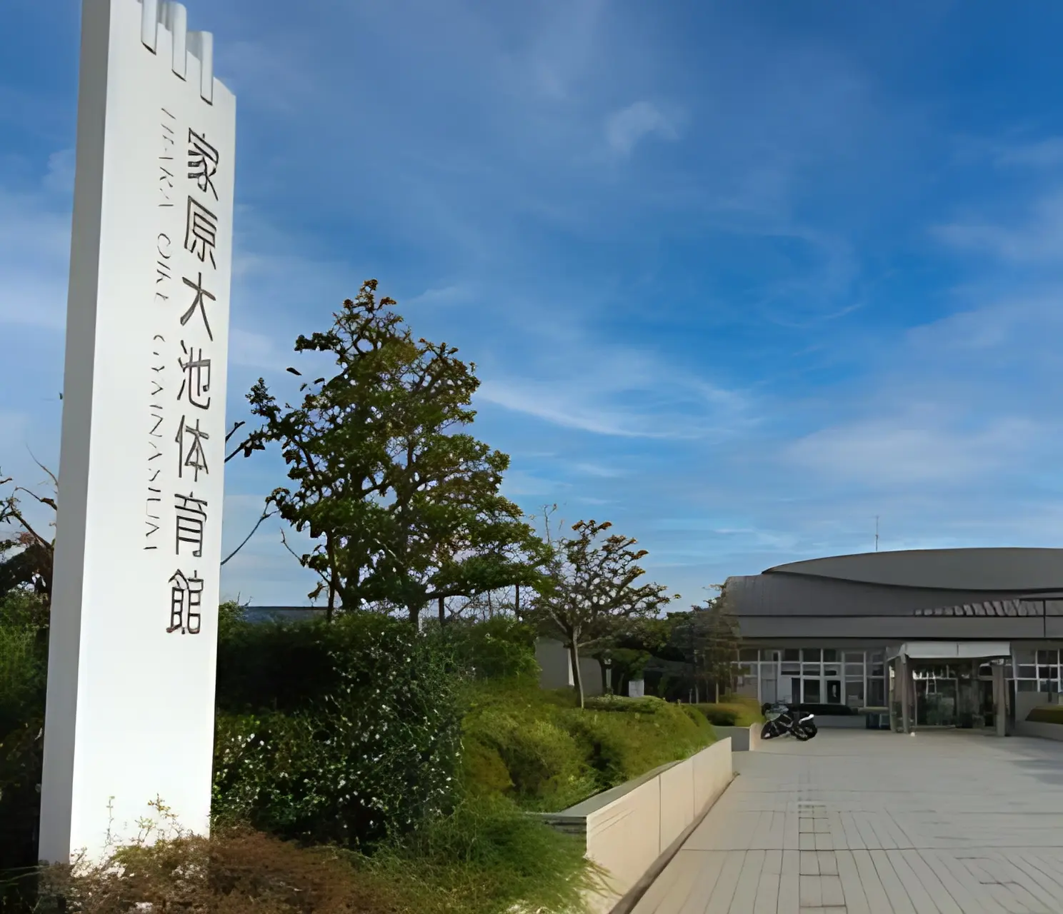 M．S．テニスカレッジ(エム・エス・テニスカレッジ) 和泉市光明池球技場ミズノテニススクールのサムネイル画像 5