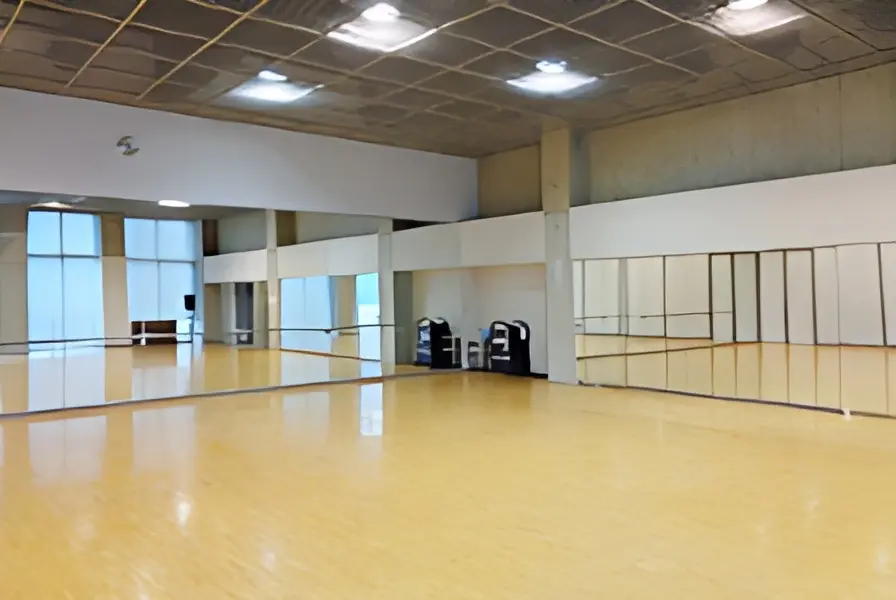 大木塾 柔道 浦安総合体育館のサムネイル画像 5