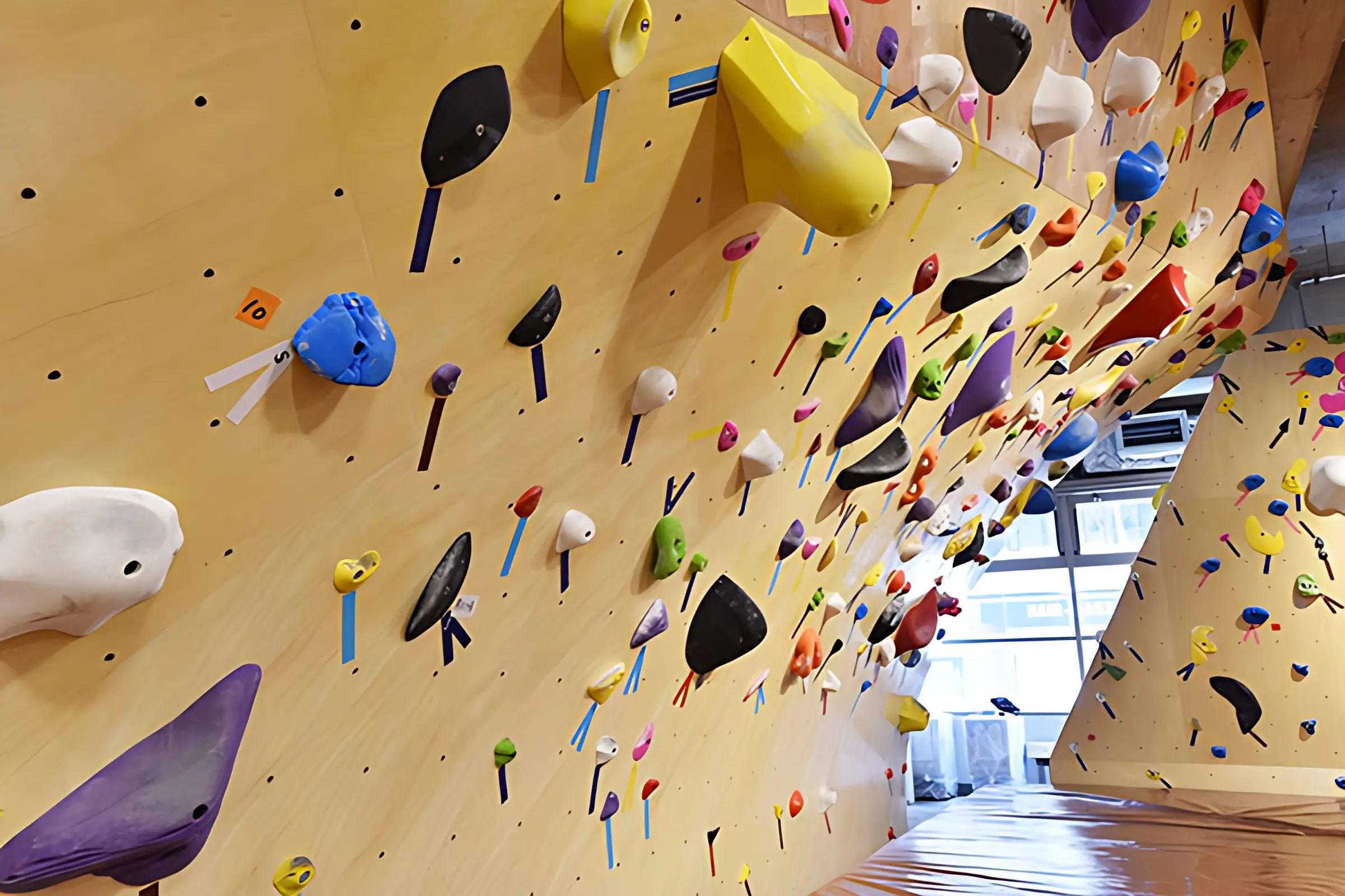 ディーボルダリング 綱島店のメイン画像