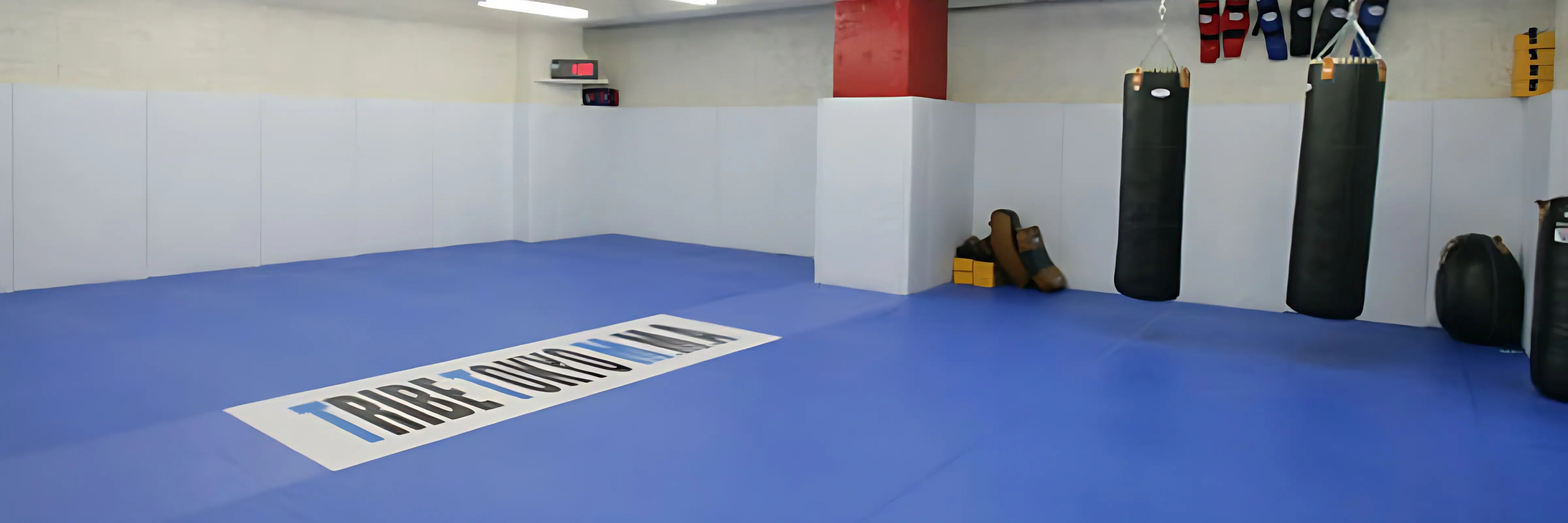 TRIBE TOKYO MMA 格闘技 本部(練馬ジム)のサムネイル画像 2