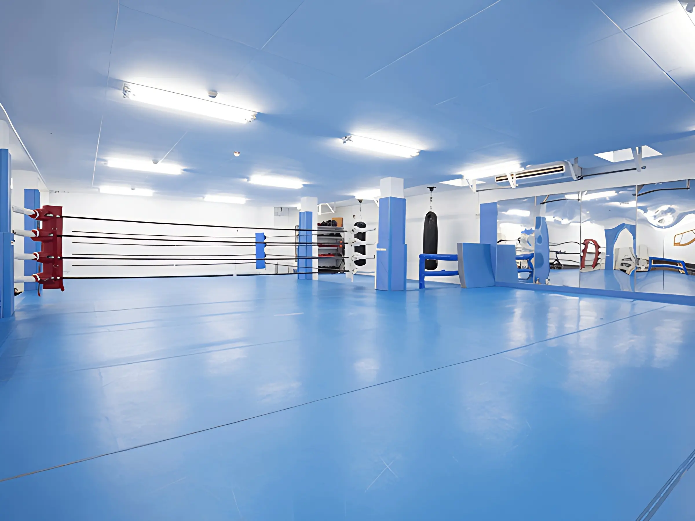 STF 総合格闘技 浦和ジムのサムネイル画像 4