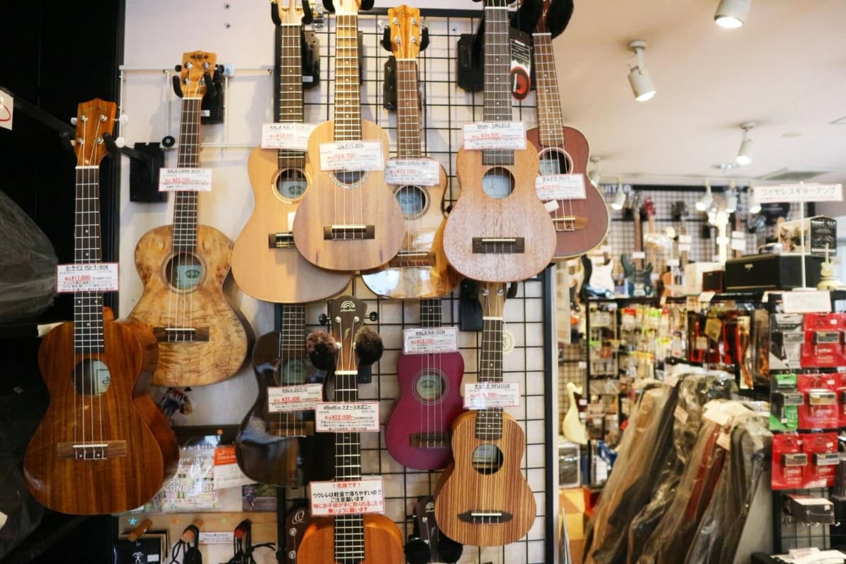 昭和堂楽器 電子オルガン 沖野教室 画像 3