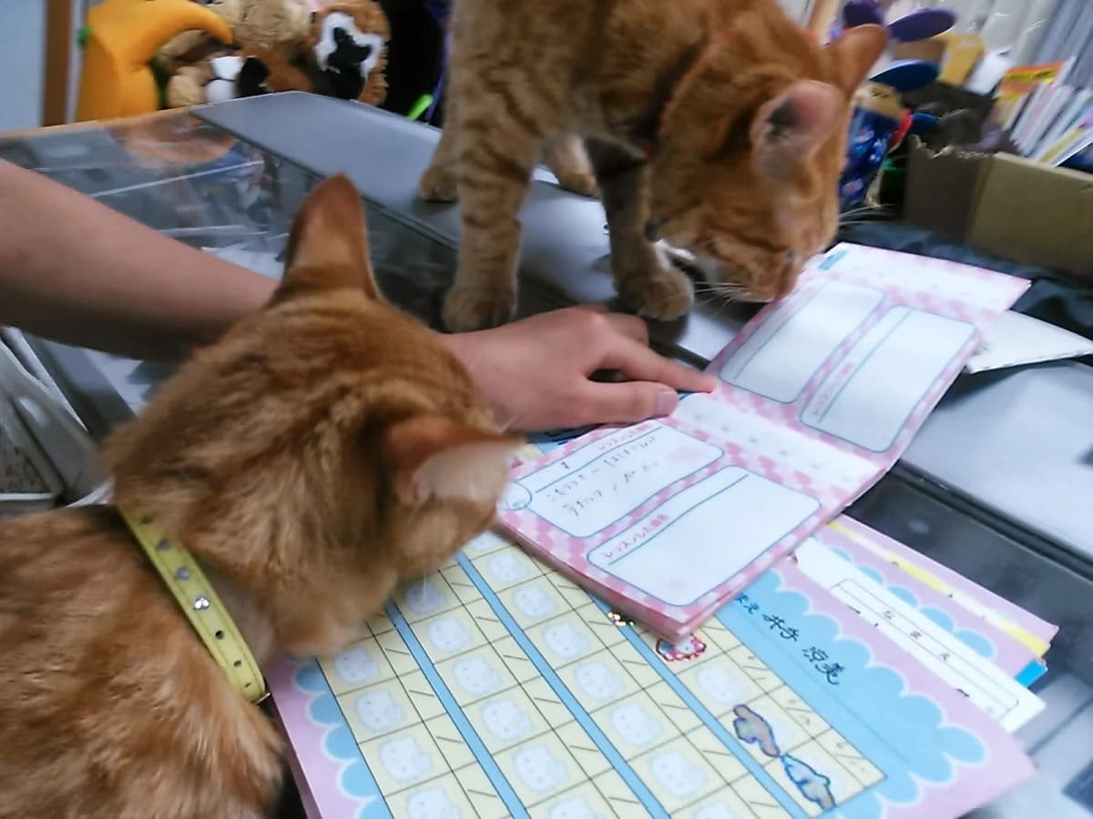 江口ピアノ･エレクトーン教室 高良内町教室 画像 6