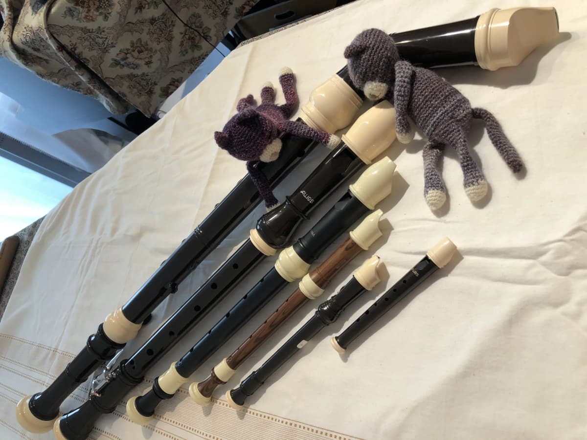 ミルトス・フルート音楽教室 登戸教室 画像 4