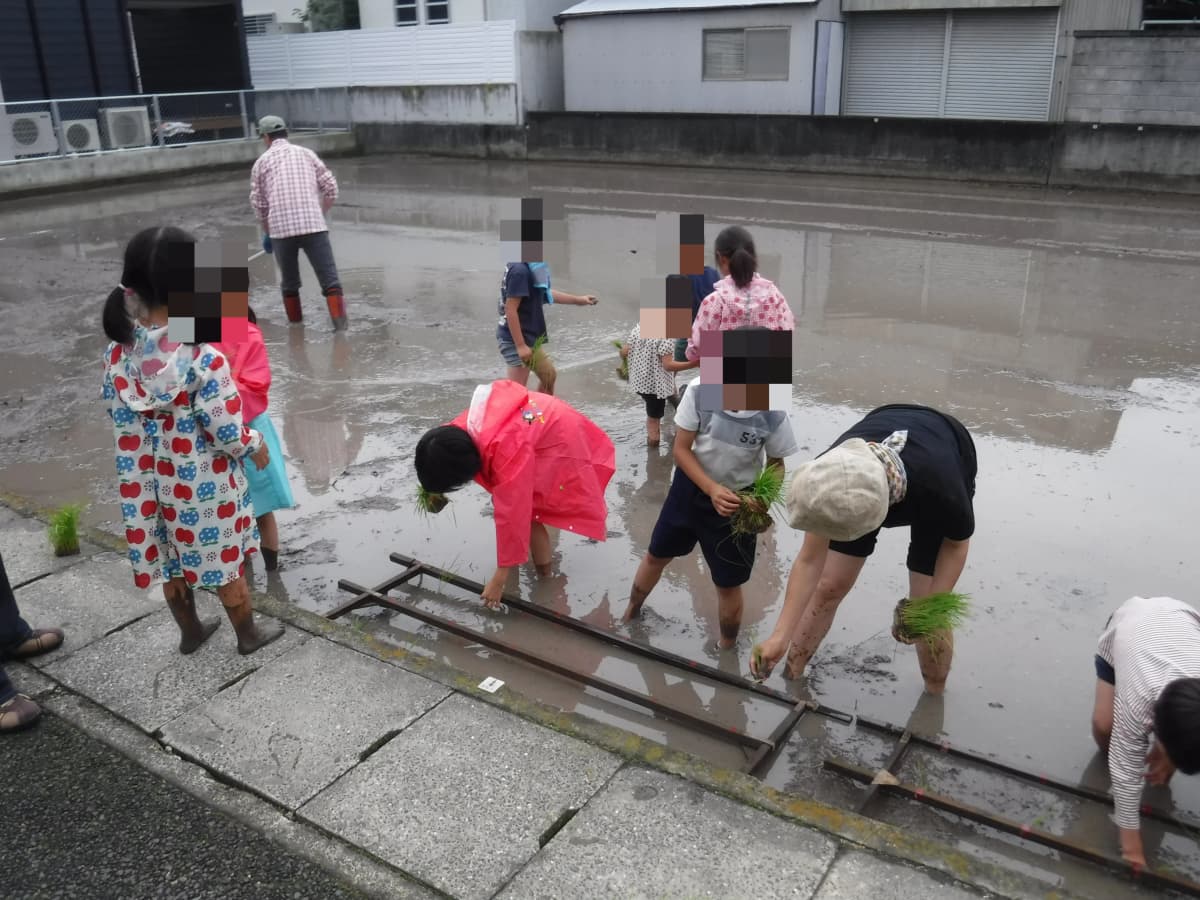 ぴょんぴょん 幼児教室 太田下町教室 画像 6