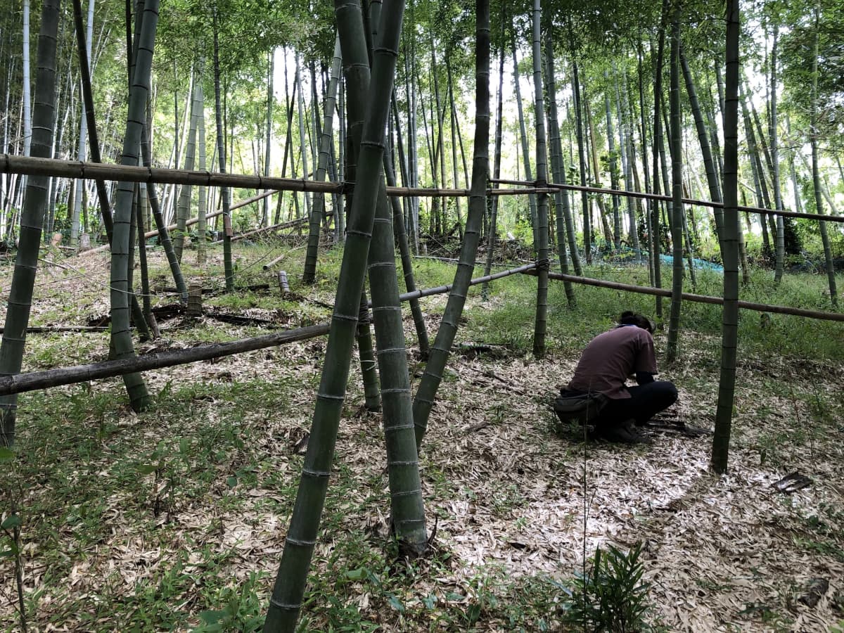 ぴょんぴょん 幼児教室 太田下町教室 画像 13