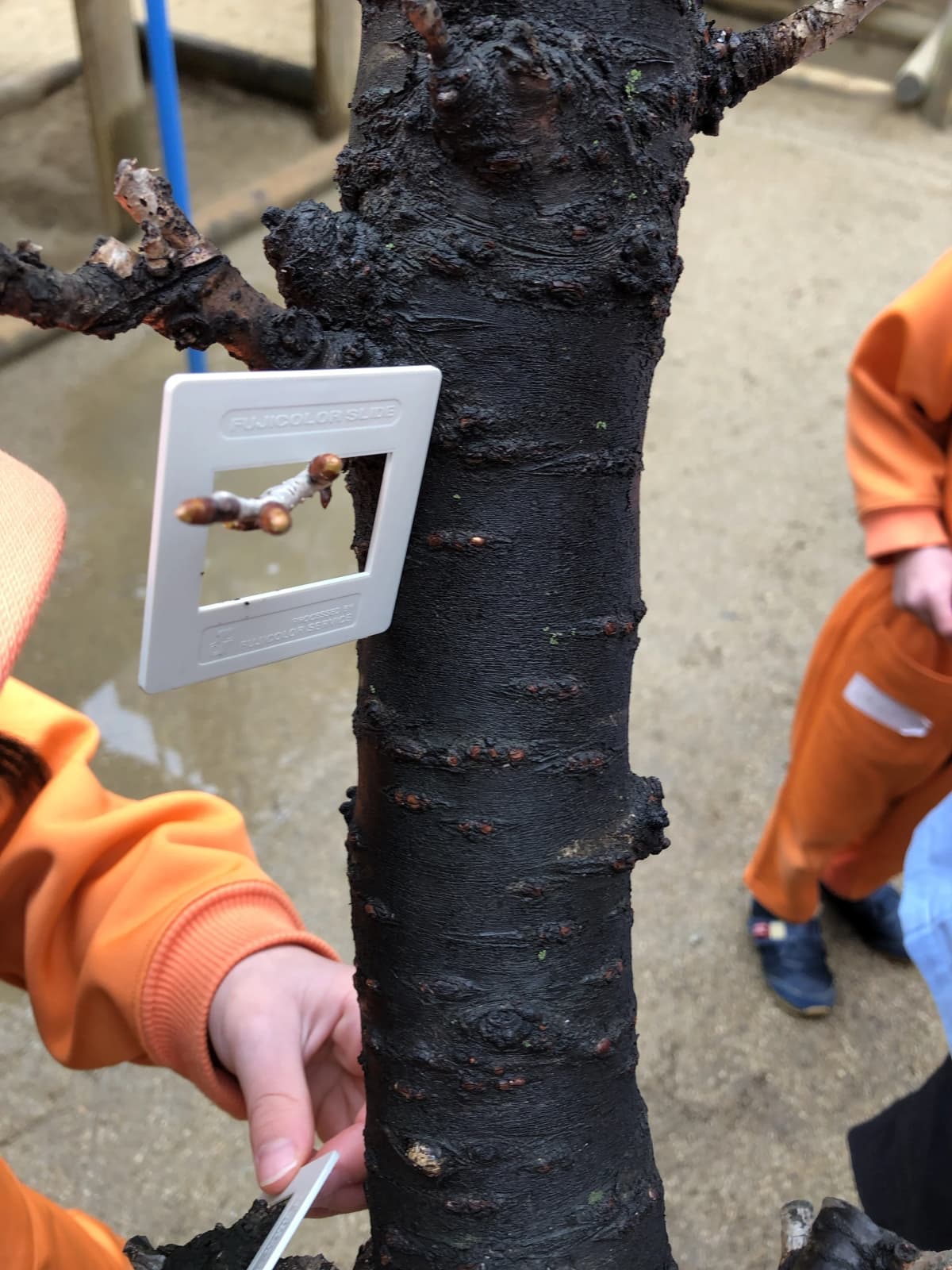 ぴょんぴょん 幼児教室 太田下町教室 画像 16