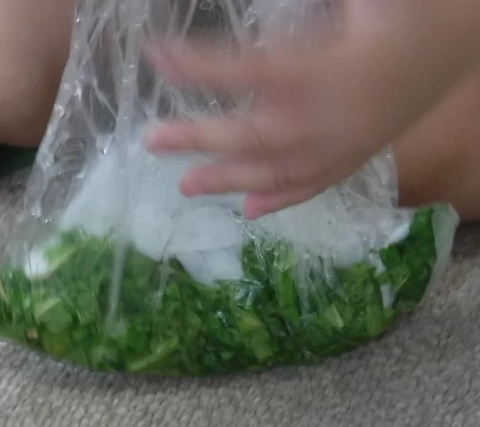 ぴょんぴょん 幼児教室 太田下町教室 画像 17