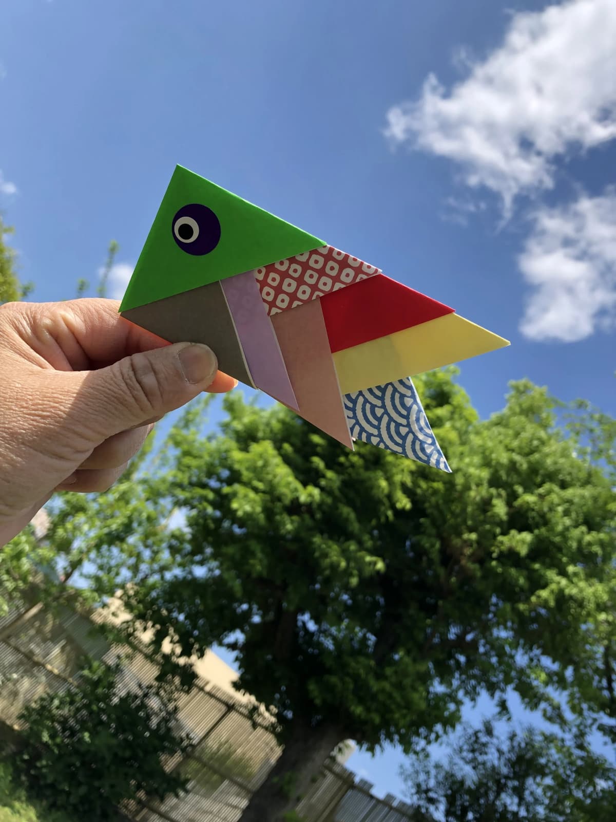 ぴょんぴょん 幼児教室 太田下町教室 画像 3