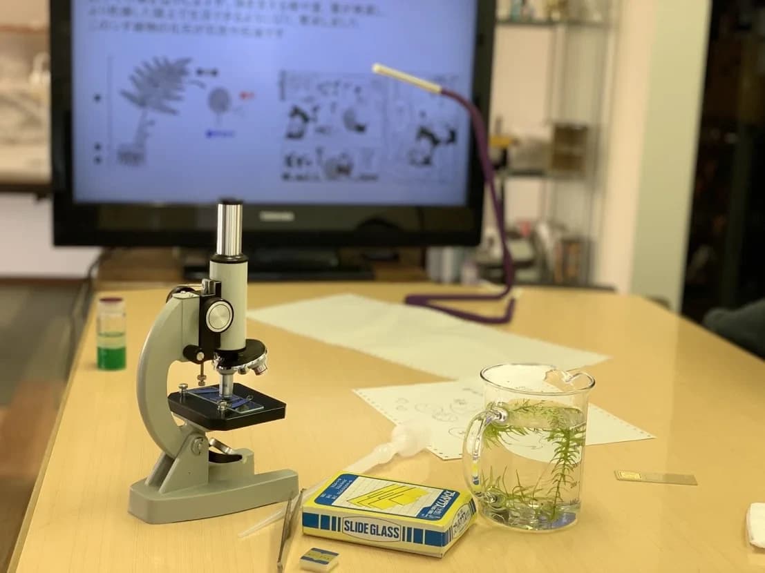 実験湧わく教室 科学教室 横屋教室 画像 1