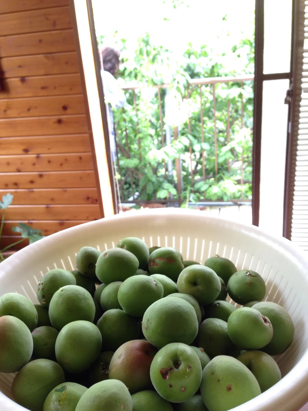 サムネイル画像 3