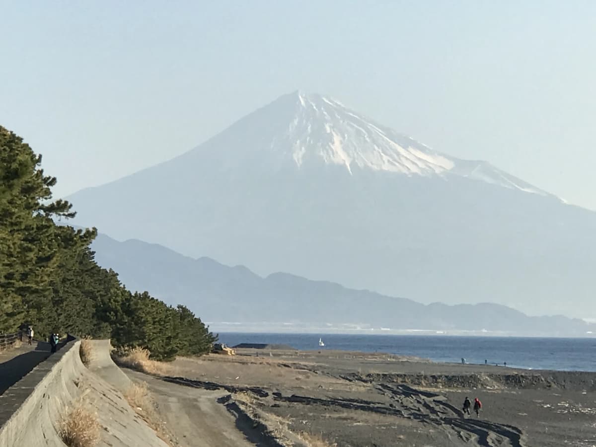 サムネイル画像 6