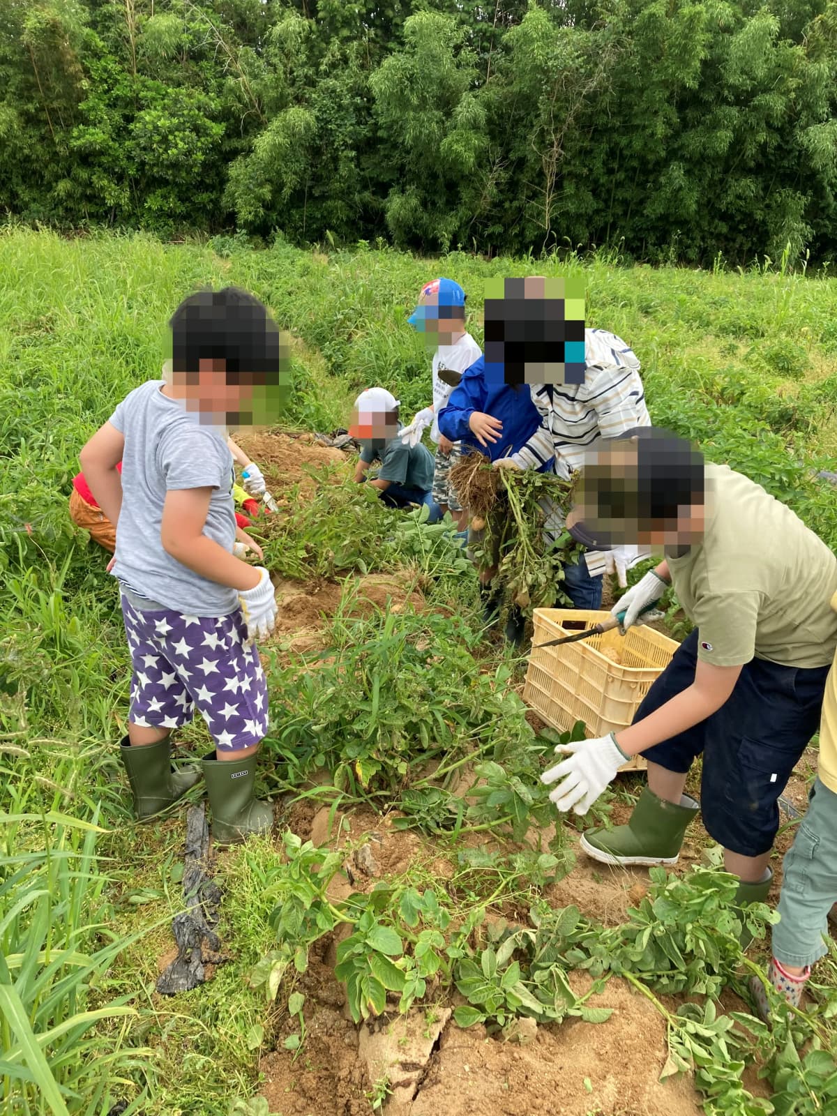 チャイルドハート 療育（発達支援） 伊都キャンパス 画像 18