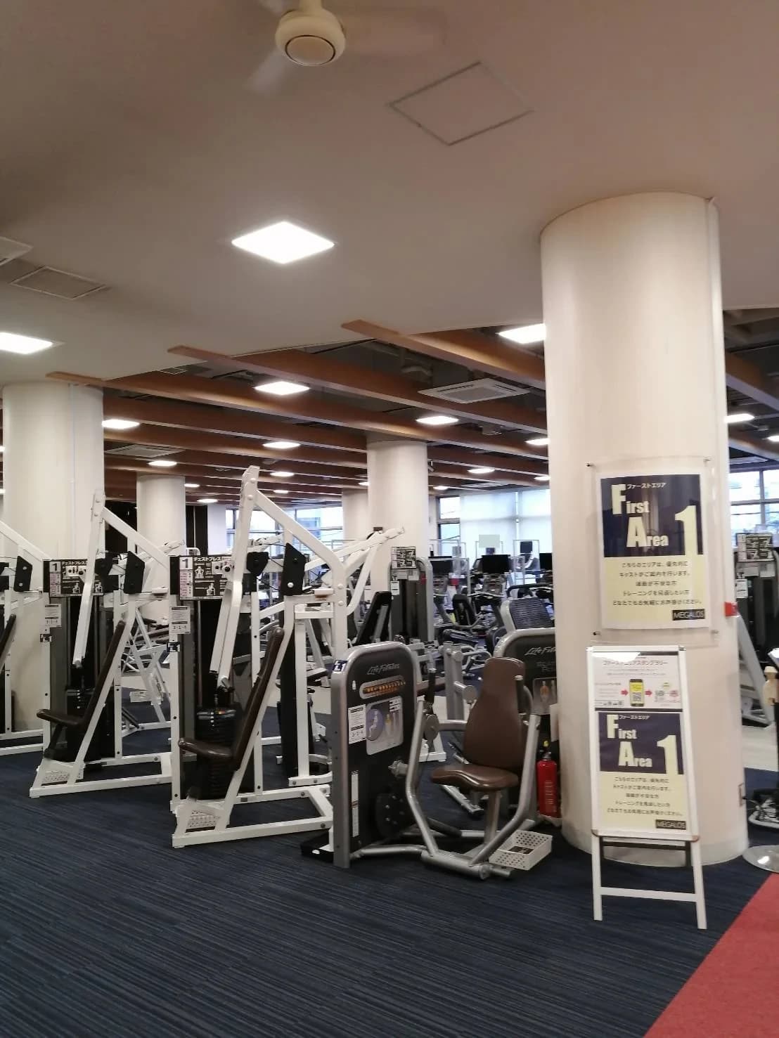 メガロス キッズバレエスクール 柏 画像 11