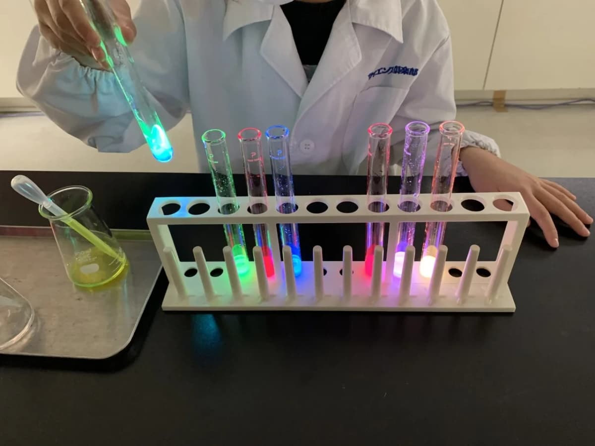 サイエンス倶楽部稲毛海岸教室 画像 11