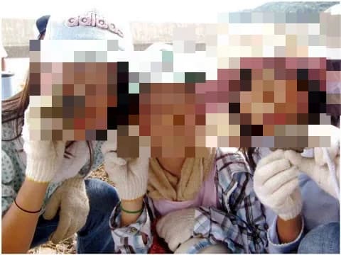 サイエンス倶楽部稲毛海岸教室 画像 16